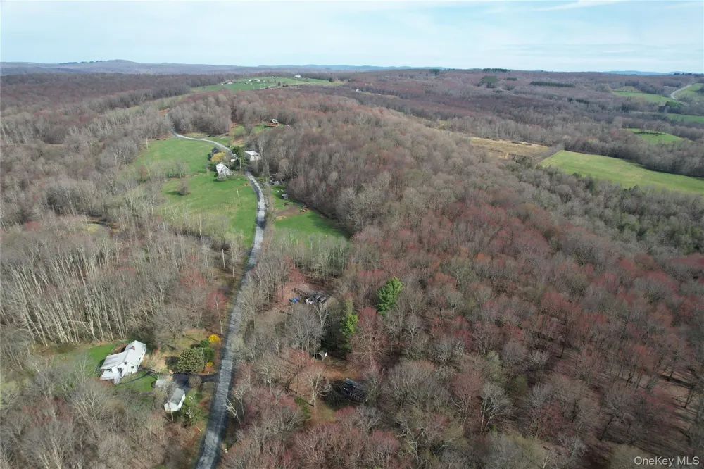 TBD Stump Pond Road Livingston Manor, NY 12758