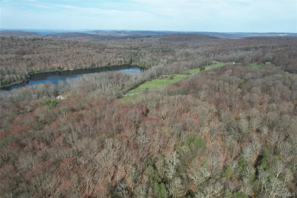 TBD Stump Pond Road Livingston Manor, NY 12758