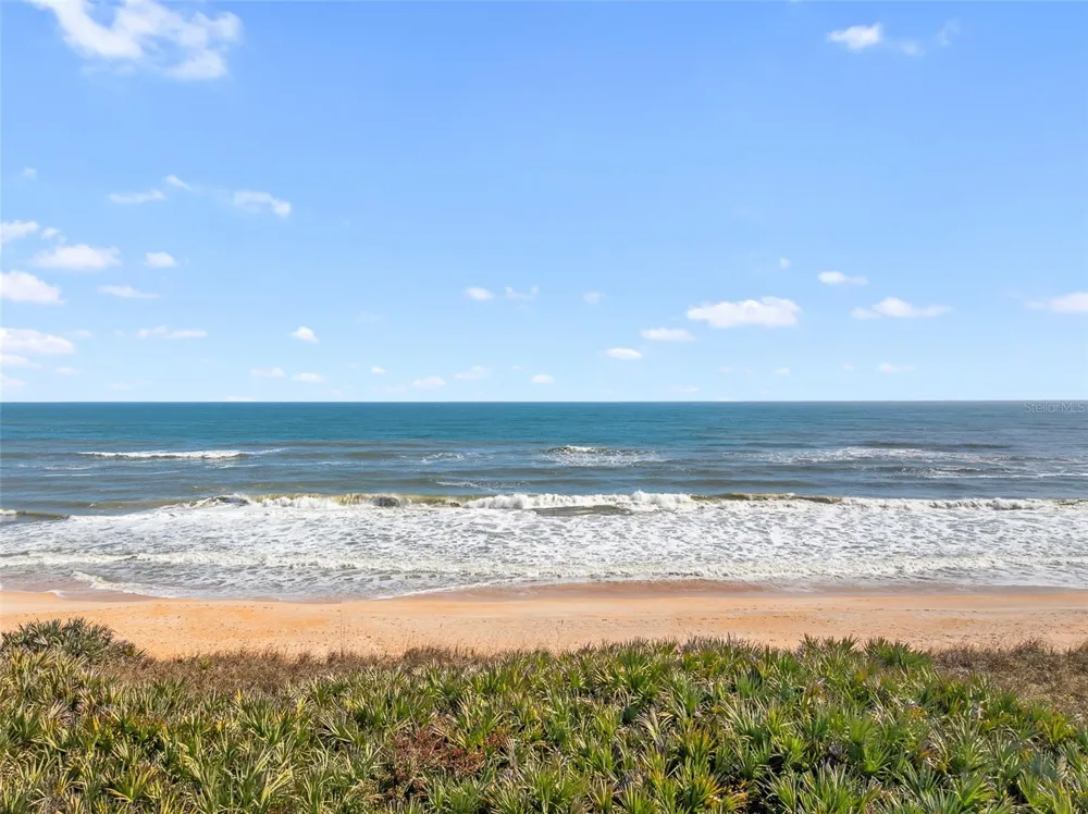 3101 OCEAN SHORE BOULEVARD Flagler Beach, FL 32136