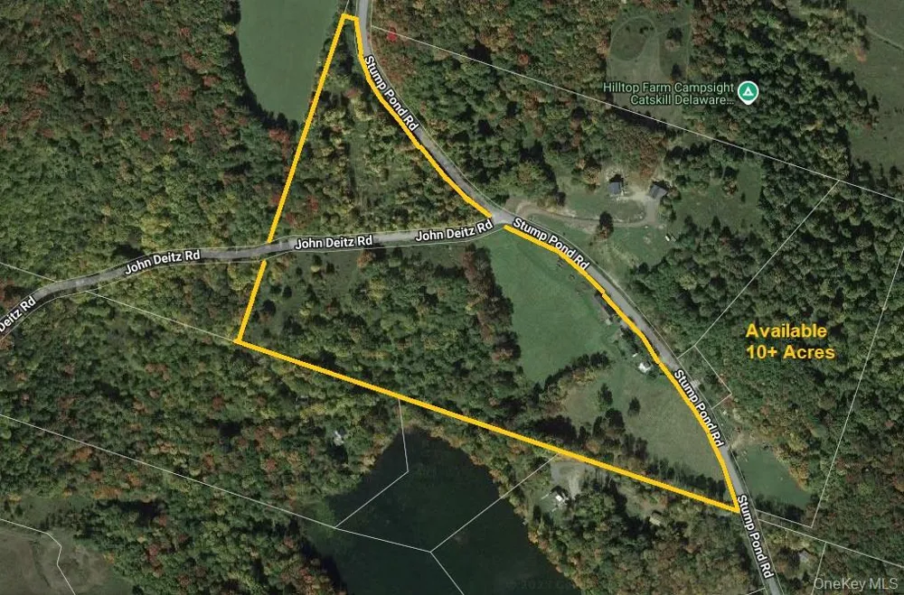 299-301 Stump Pond Road Livingston Manor, NY 12758