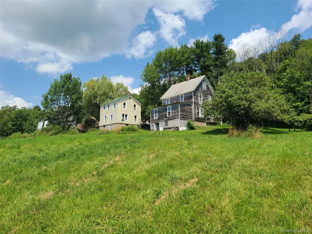 299-301 Stump Pond Road Livingston Manor, NY 12758