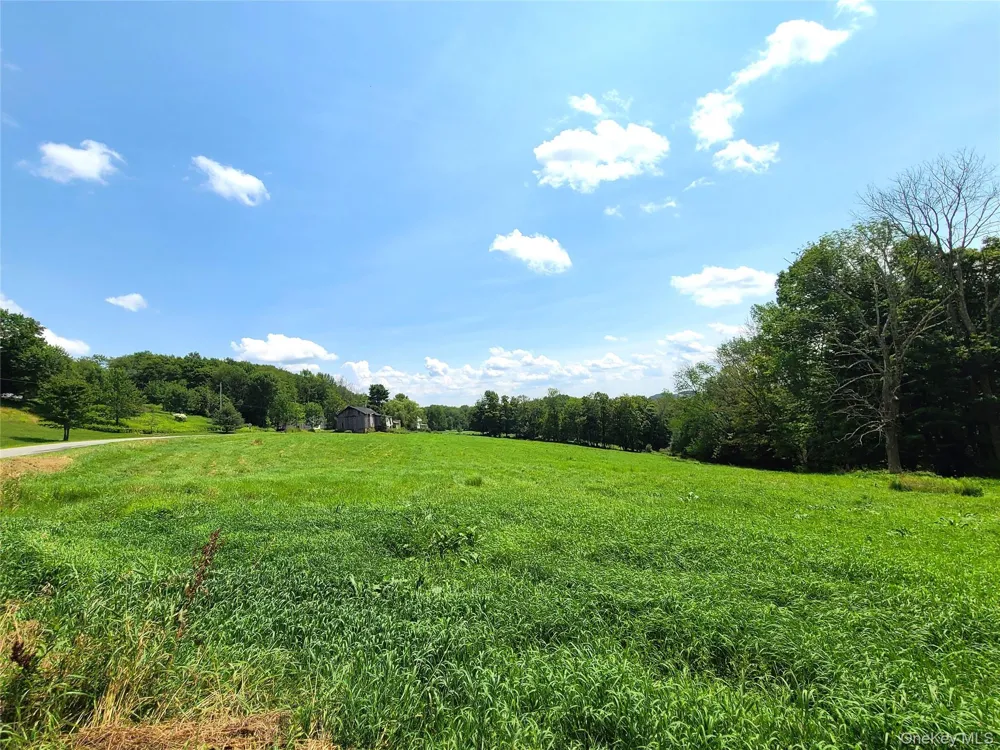 299-301 Stump Pond Road Livingston Manor, NY 12758