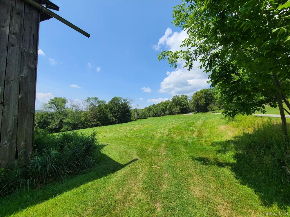 299-301 Stump Pond Road Livingston Manor, NY 12758