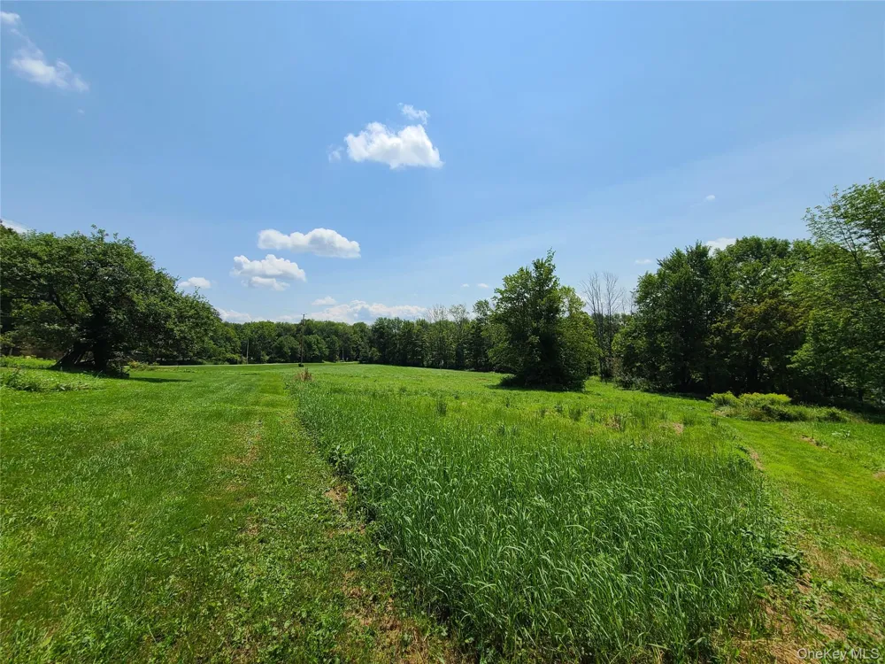 299-301 Stump Pond Road Livingston Manor, NY 12758