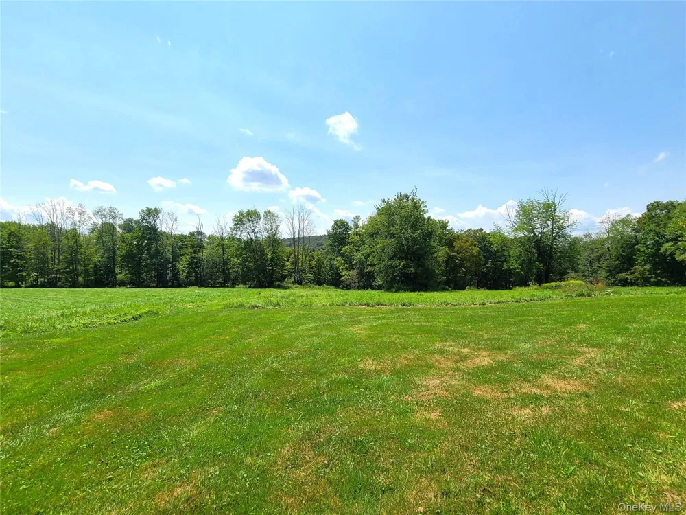 299-301 Stump Pond Road Livingston Manor, NY 12758