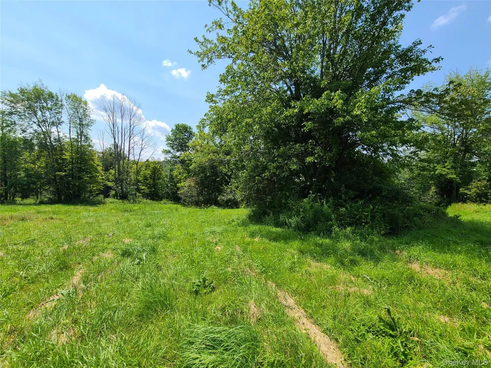 299-301 Stump Pond Road Livingston Manor, NY 12758
