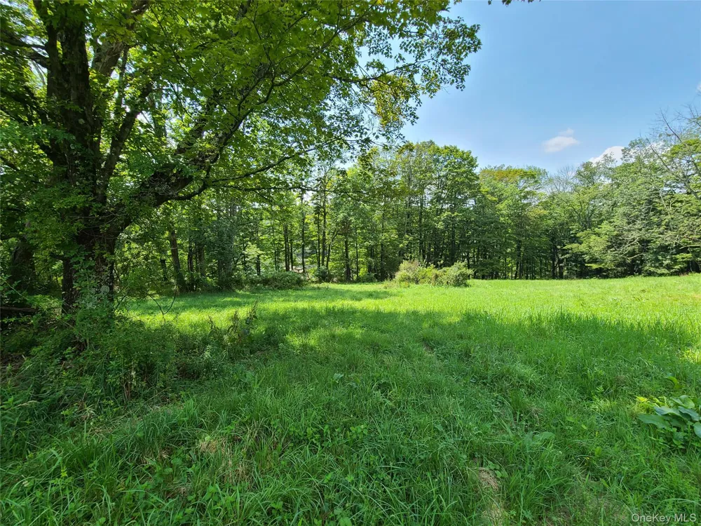 299-301 Stump Pond Road Livingston Manor, NY 12758