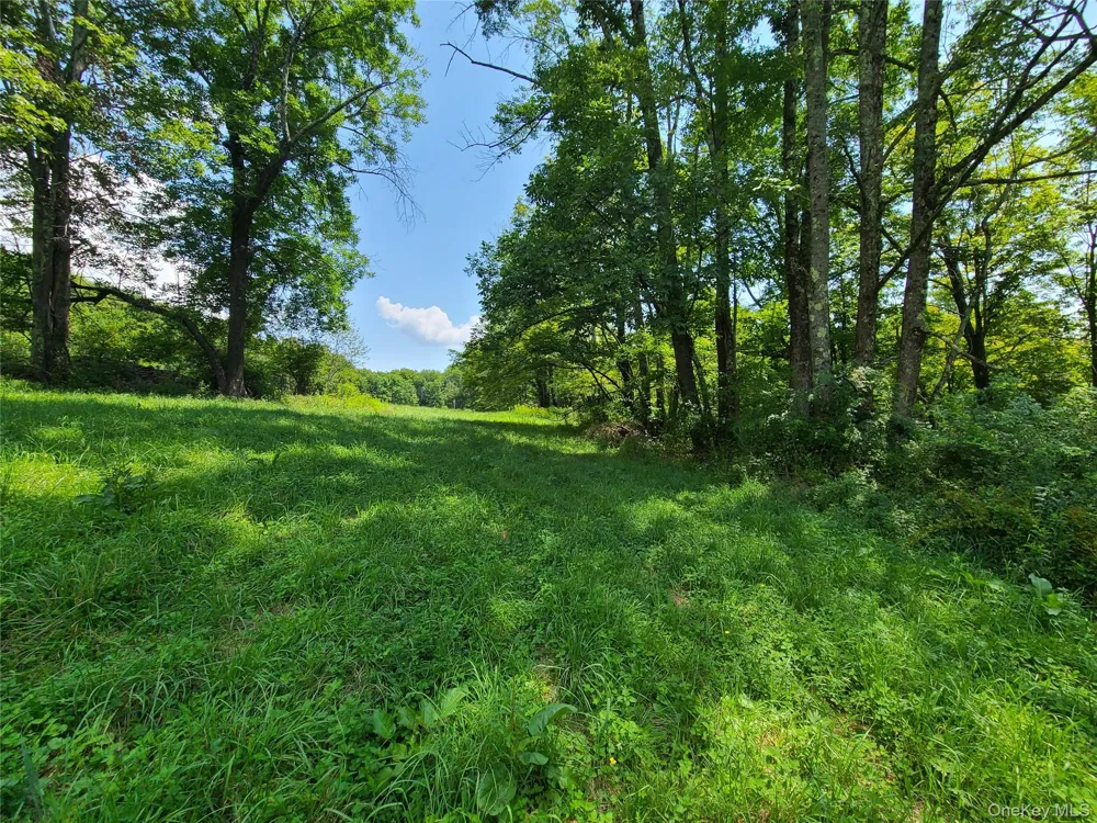 299-301 Stump Pond Road Livingston Manor, NY 12758