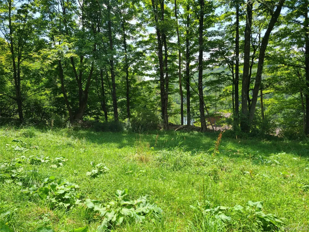 299-301 Stump Pond Road Livingston Manor, NY 12758