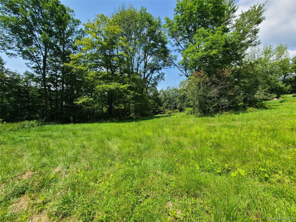 299-301 Stump Pond Road Livingston Manor, NY 12758
