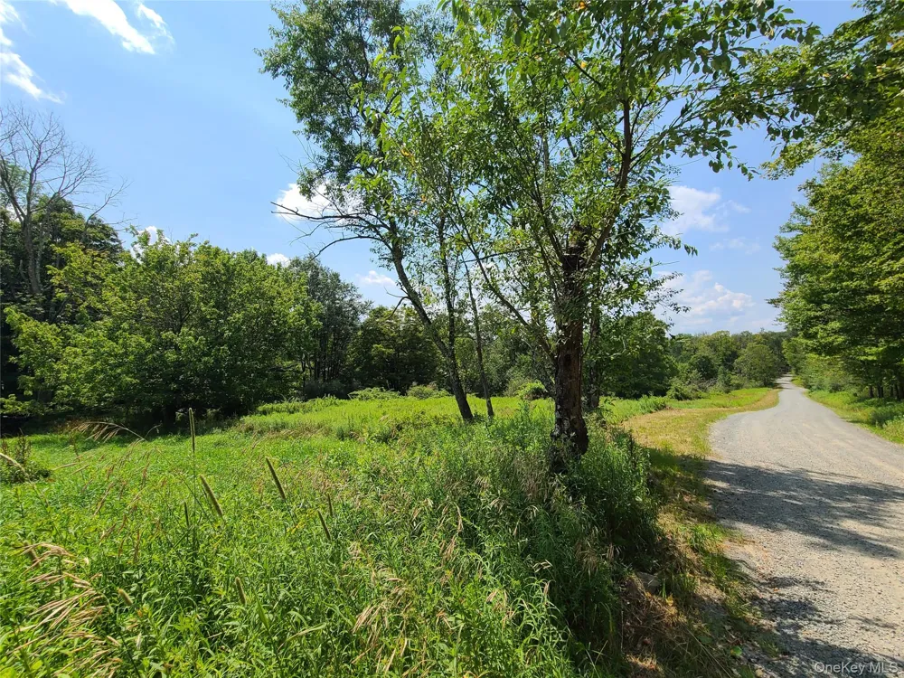 299-301 Stump Pond Road Livingston Manor, NY 12758