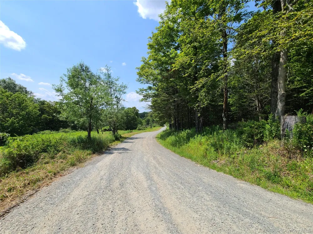 299-301 Stump Pond Road Livingston Manor, NY 12758