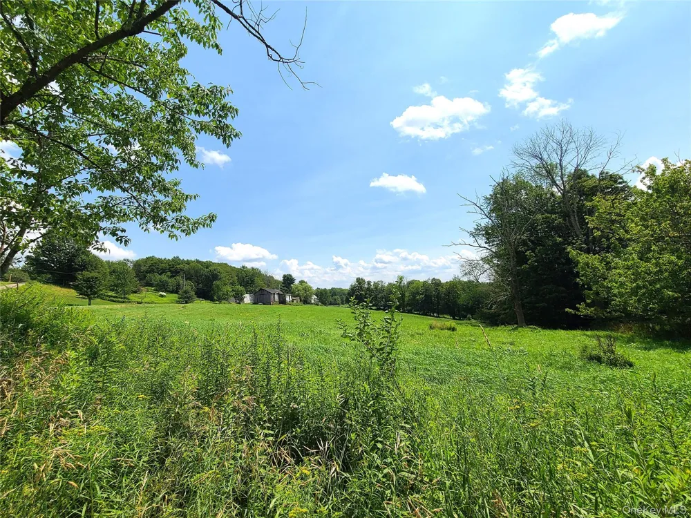 299-301 Stump Pond Road Livingston Manor, NY 12758