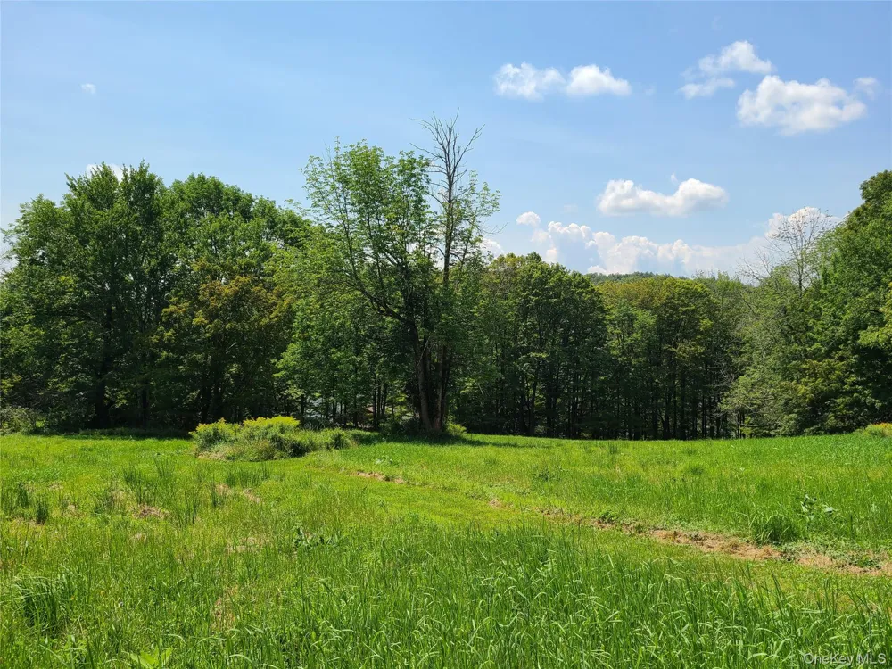 299-301 Stump Pond Road Livingston Manor, NY 12758