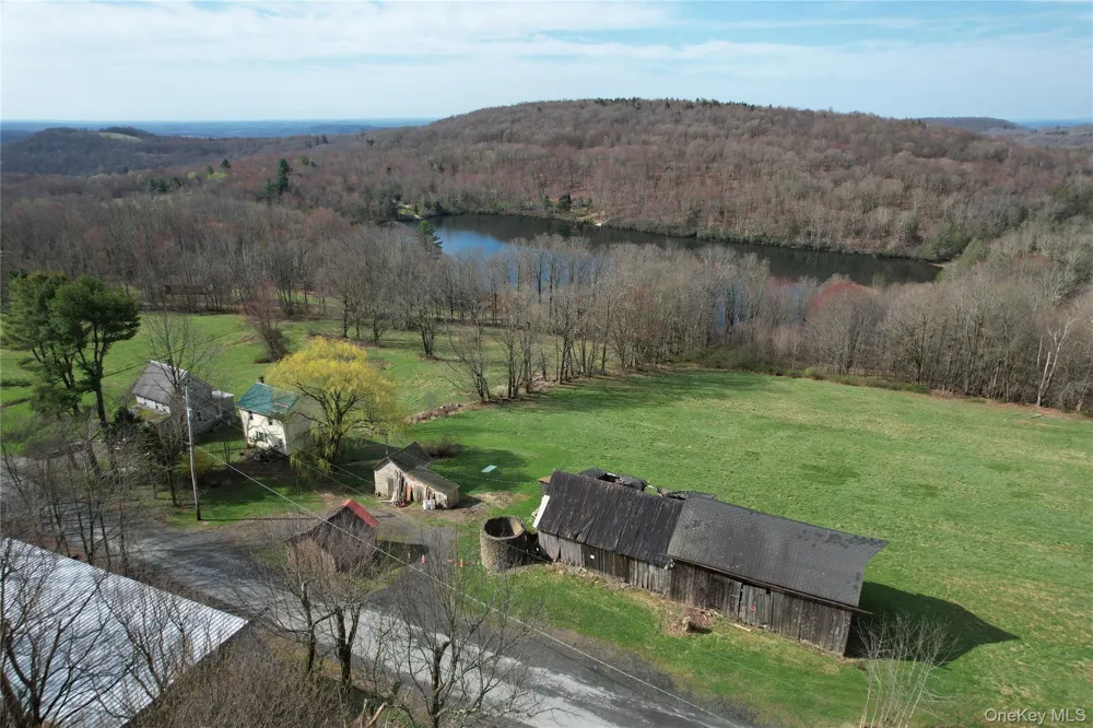 299-301 Stump Pond Road Livingston Manor, NY 12758