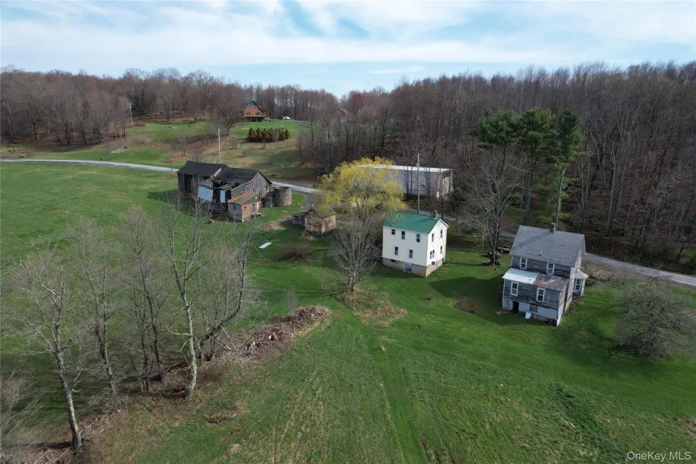 299-301 Stump Pond Road Livingston Manor, NY 12758