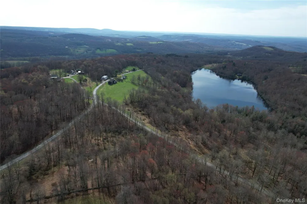 299-301 Stump Pond Road Livingston Manor, NY 12758