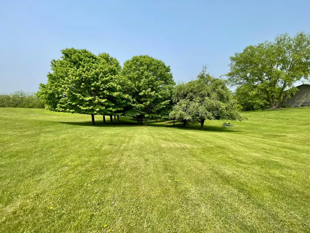 32337 Juniper Road Chatfield, MN 55923