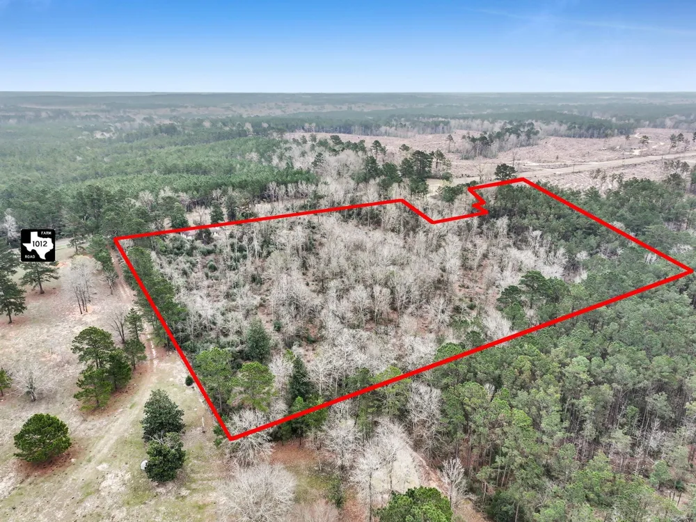 Cr 1022 Newton, TX 75966