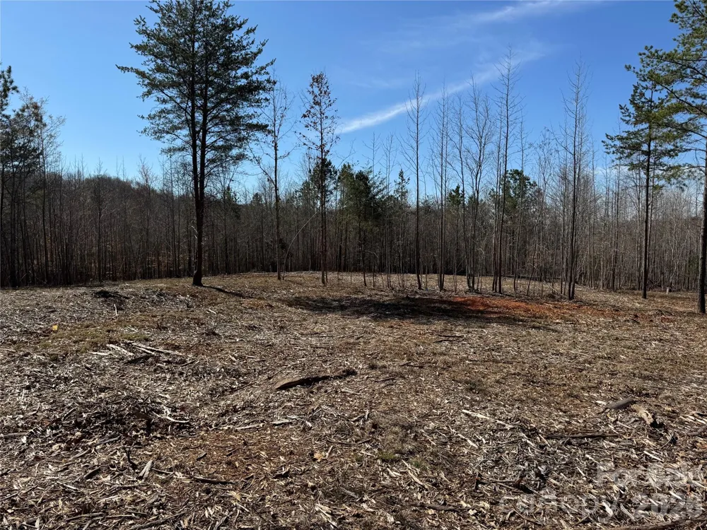 5700 Bentley Ridge Drive #12 Davidson, NC 28036