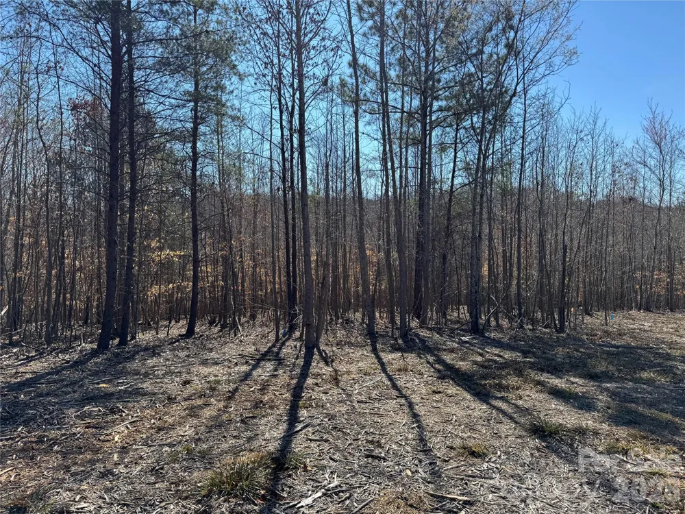 5700 Bentley Ridge Drive #12 Davidson, NC 28036
