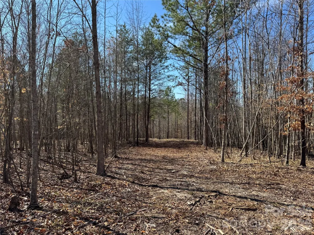 5700 Bentley Ridge Drive #12 Davidson, NC 28036