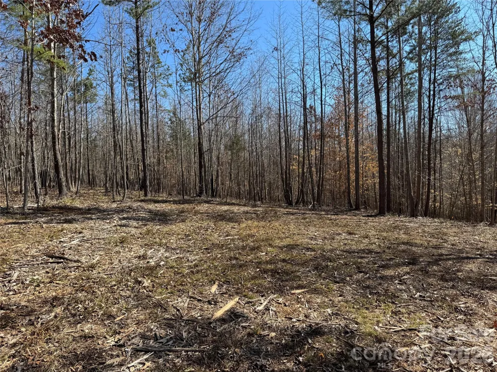 5700 Bentley Ridge Drive #12 Davidson, NC 28036