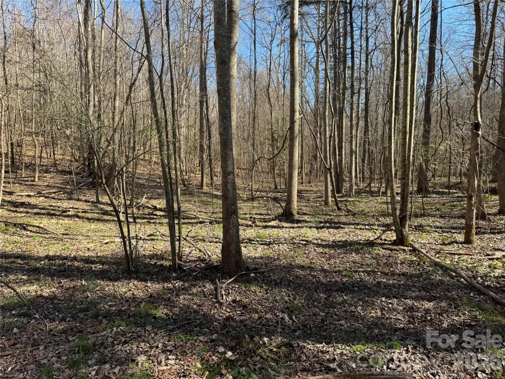 5700 Bentley Ridge Drive #12 Davidson, NC 28036
