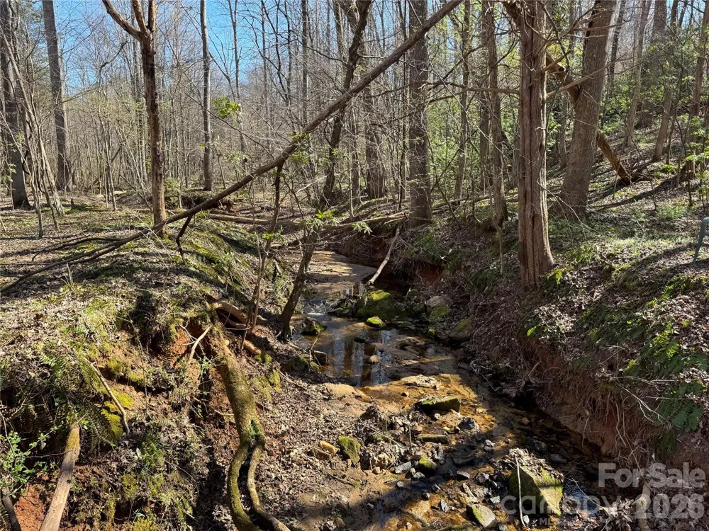 5700 Bentley Ridge Drive #12 Davidson, NC 28036