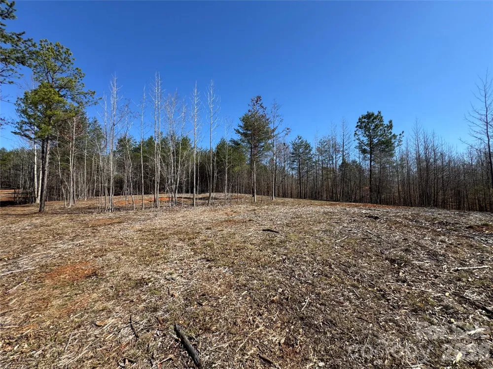 5700 Bentley Ridge Drive #12 Davidson, NC 28036