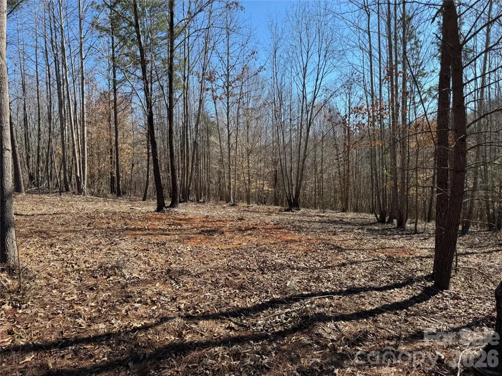 5700 Bentley Ridge Drive #12 Davidson, NC 28036