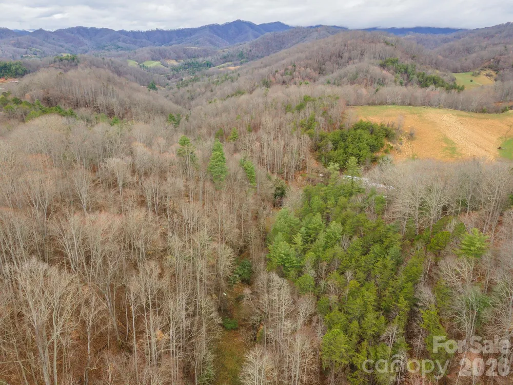 1974 Ammons Branch Road Marshall, NC 28753