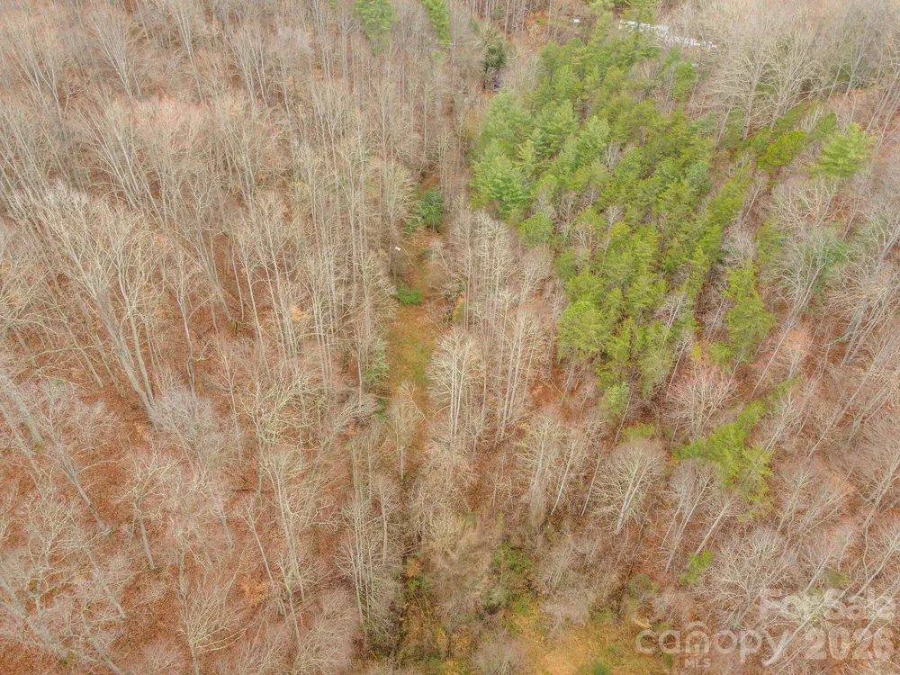 1974 Ammons Branch Road Marshall, NC 28753