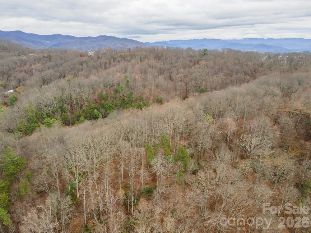 1974 Ammons Branch Road Marshall, NC 28753