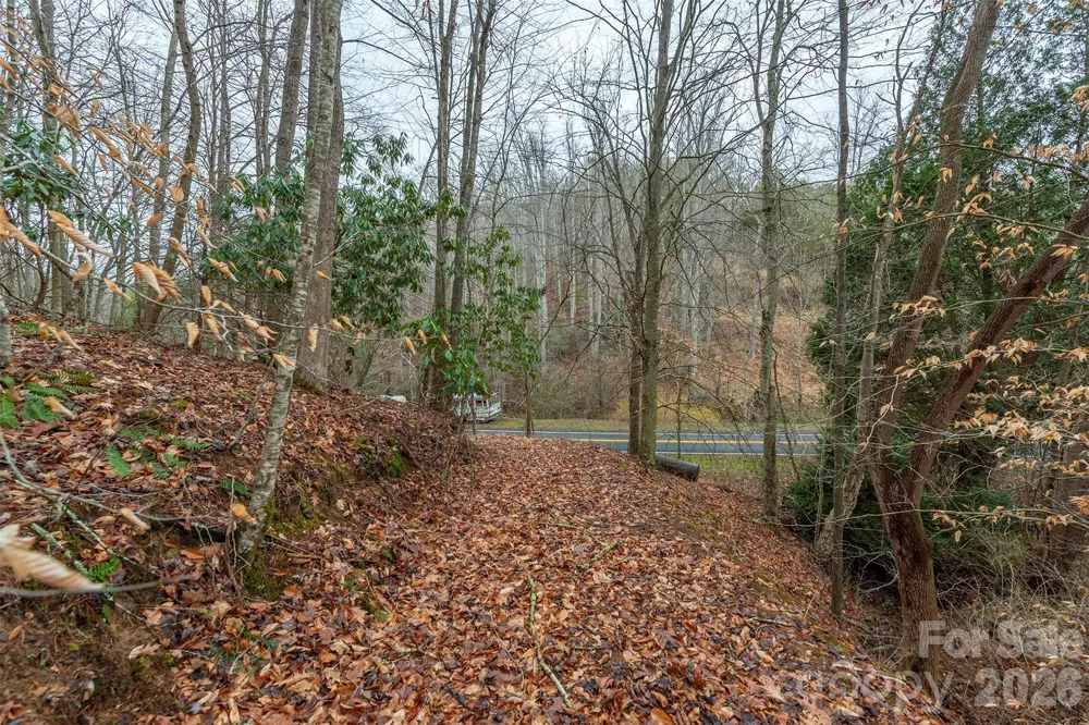 1974 Ammons Branch Road Marshall, NC 28753