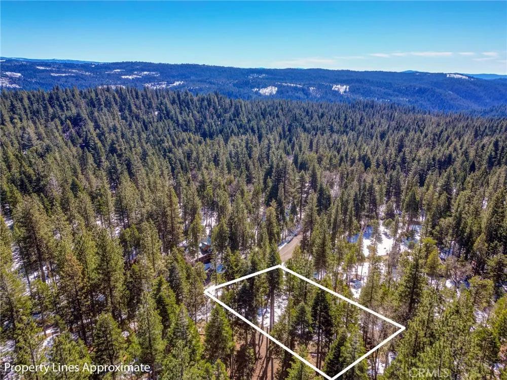 3641 Ottawa Arnold, CA 95223