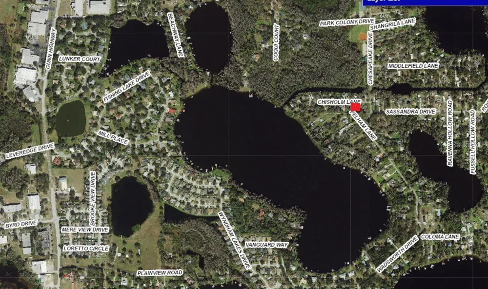 14328 CHISHOLM LANE Odessa, FL 33556