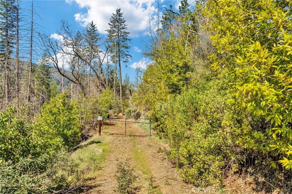 12061 Gifford Springs Road Cobb, CA 95426