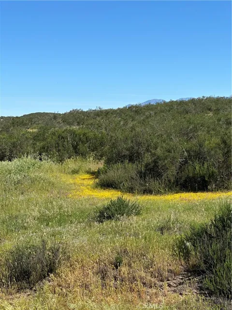 Sage & Red Mountain Road