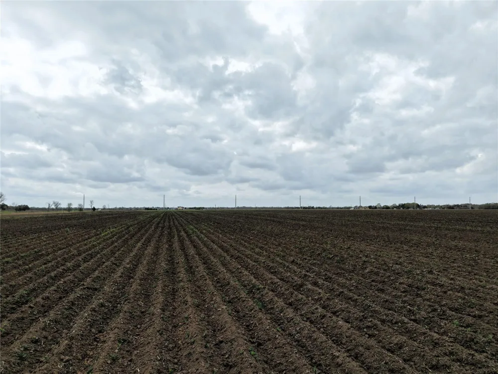 14292 Hwy 90 Alt East Bernard, TX 77435