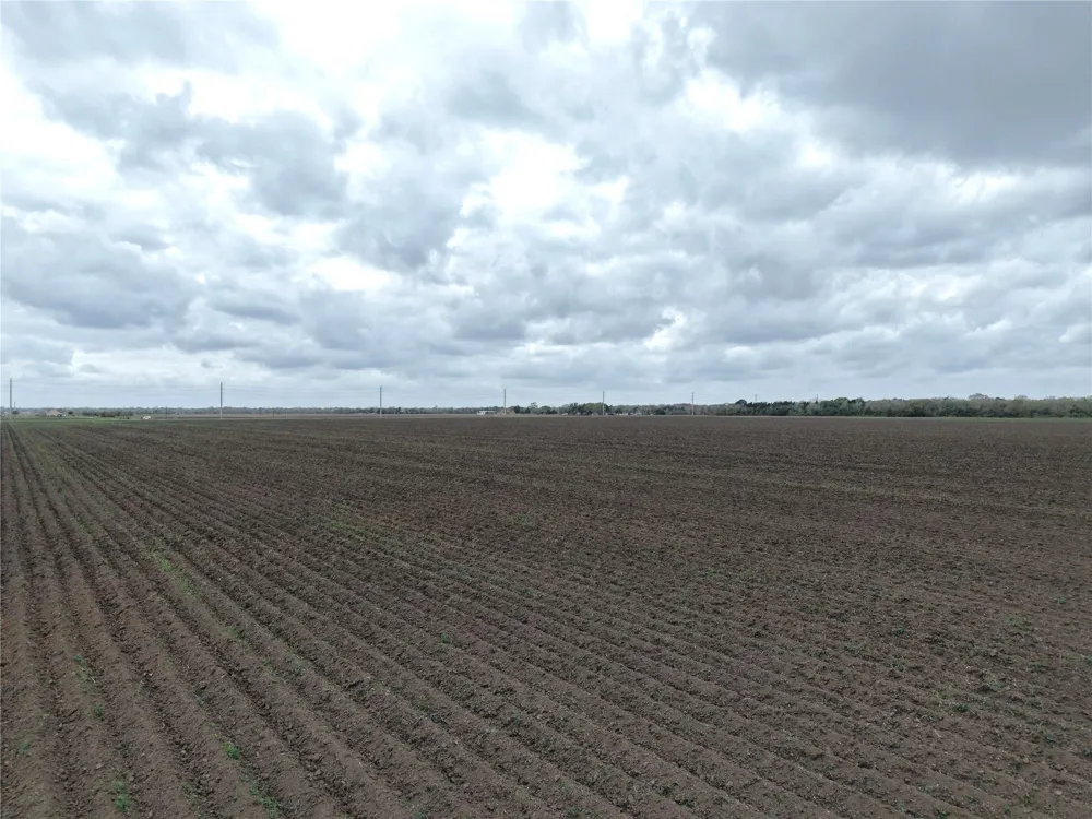 14292 Hwy 90 Alt East Bernard, TX 77435