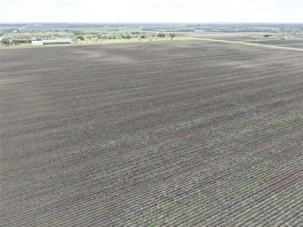 14292 Hwy 90 Alt East Bernard, TX 77435