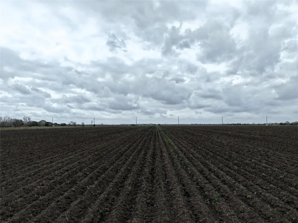 14292 Hwy 90 Alt East Bernard, TX 77435