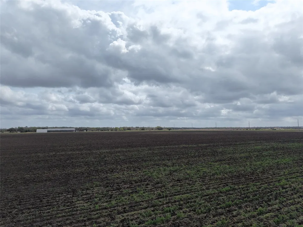 14292 Hwy 90 Alt East Bernard, TX 77435