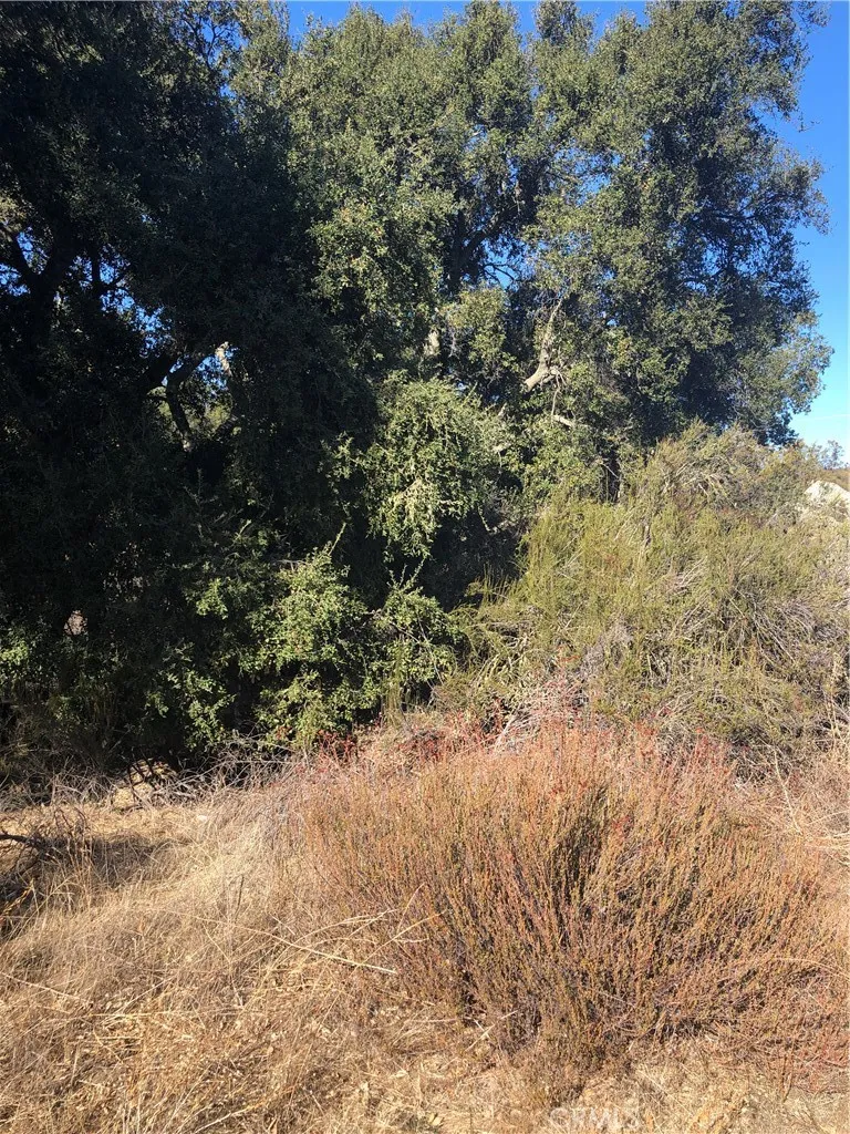 Red Mountain Road Hemet, CA 92544