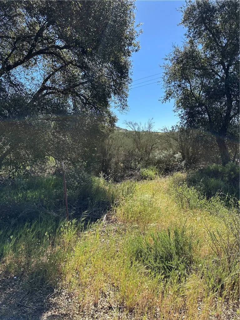 Red Mountain Road Hemet, CA 92544