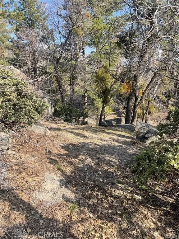 Forrest Dr Running Springs, CA 92382