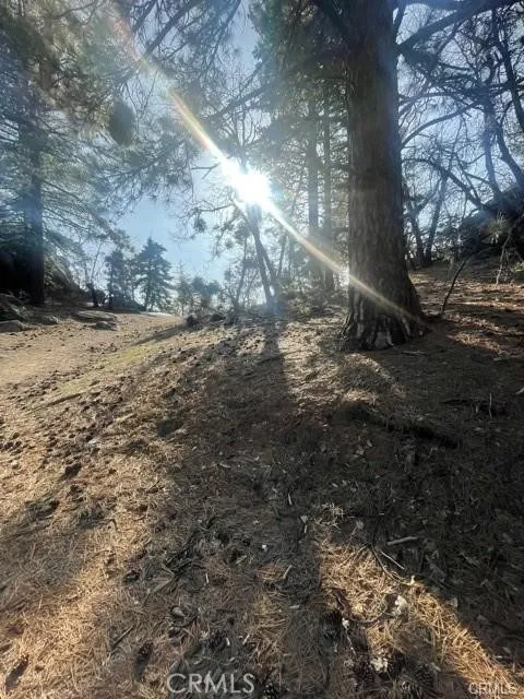 Forrest Dr Running Springs, CA 92382