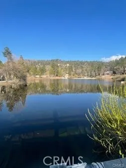Forrest Dr Running Springs, CA 92382