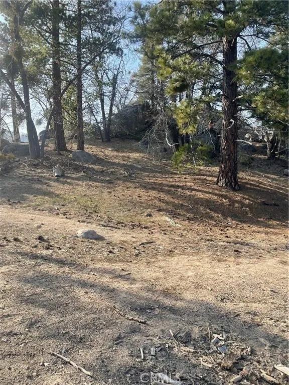 Forrest Dr Running Springs, CA 92382